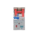 Carlo Gavazzi | RMIA21024VDC Relay