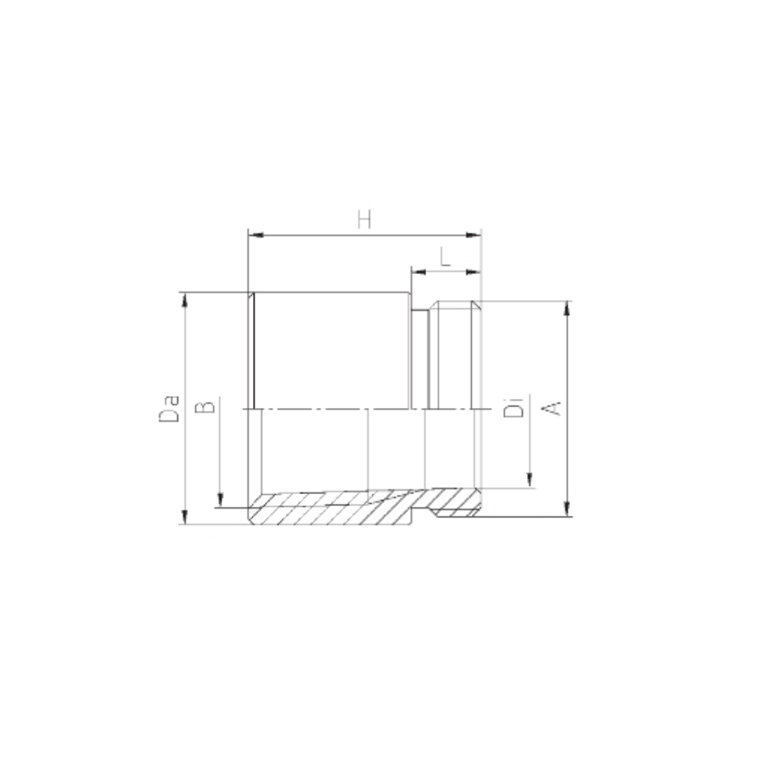194.655 - ITC | Thread adapter, brass nickel plated, M40(M) to 1 1/4"NPT(F) - Image 2
